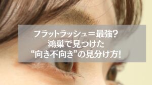 フラットラッシュを装着した女性の目元と“向き不向き”を解説するテキスト入り画像