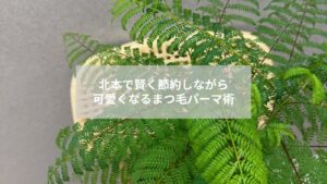 北本でまつ毛パーマの料金相場と節約方法を考える女性のイメージ