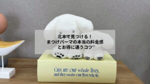 北本でまつげパーマの料金や相場を検討する女性向けの施術イメージとサロンの雰囲気