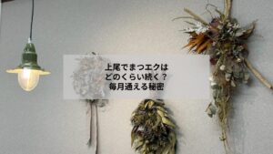 上尾でまつエクの持ちと日常ケアを想像できるサロンのイメージ写真