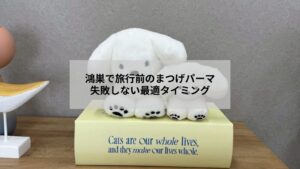 鴻巣で旅行前にまつげパーマを受ける女性の目元イメージとケア風景