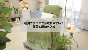 桶川周辺でまつげエクステが取れやすい原因を解説するイメージ画像