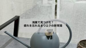 鴻巣でリラックスできるまつエク施術を受けている落ち着いたサロンの様子と目元のアップ