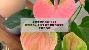 上尾で自然に見えるまつエクの本数を悩む、忙しい女性が笑顔で施術を受けるイメージ写真