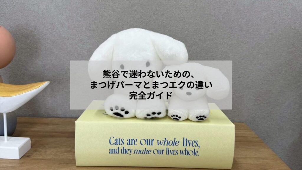 熊谷でまつげパーマとまつエクの違いを比較する女性のイメージ写真