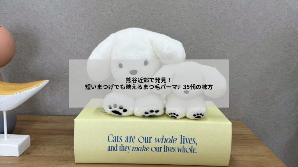 熊谷周辺でまつげが短い方のためのまつ毛パーマ施術イメージとビフォーアフター写真