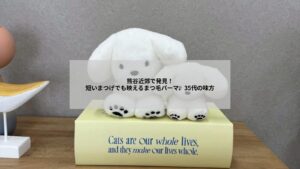 熊谷周辺でまつげが短い方のためのまつ毛パーマ施術イメージとビフォーアフター写真